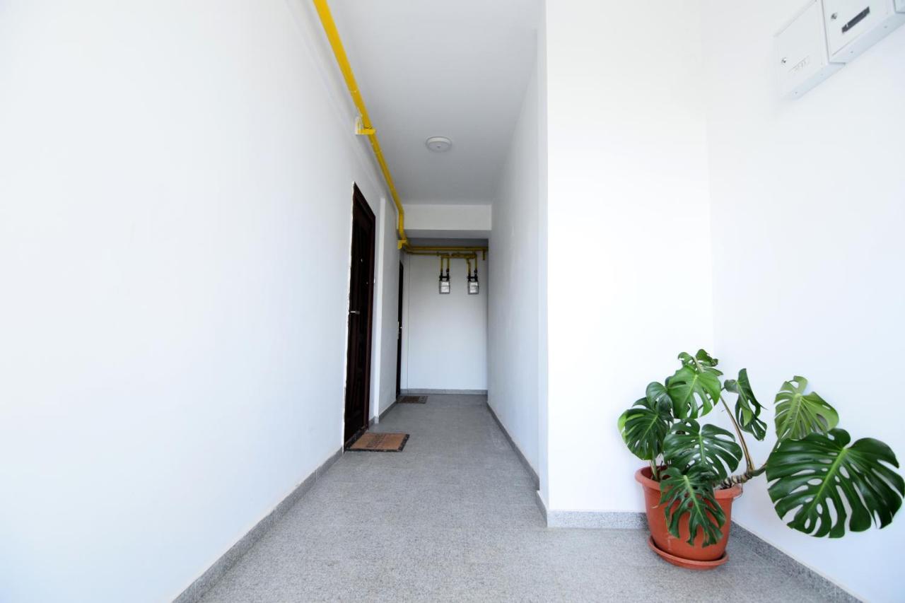 Ioana Studio Mamaia Nord Năvodari Exteriör bild